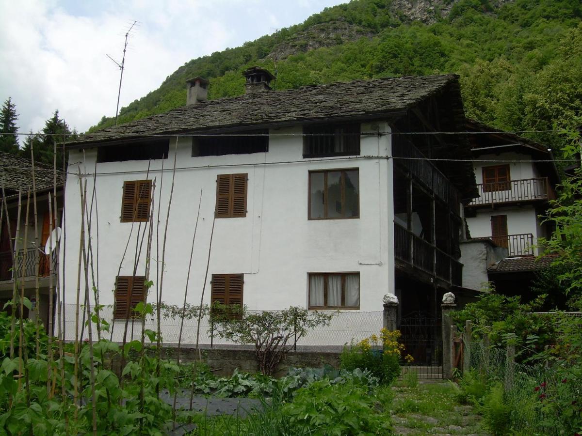 Bed and Breakfast Le Mie Radici Скопелло Экстерьер фото